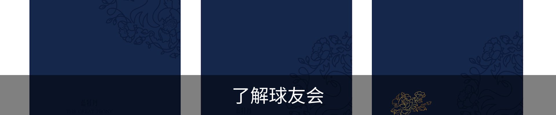 了解球友会